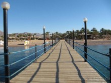 фото CIS Immobilier