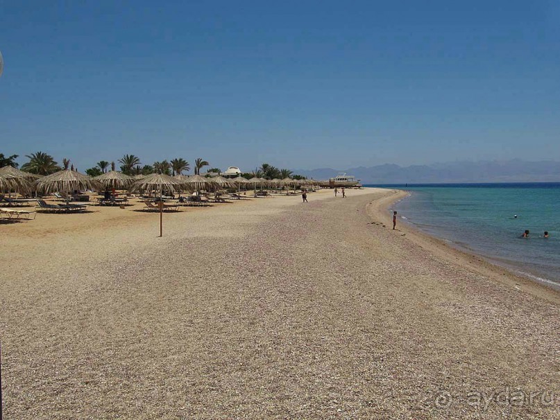 фото CIS Immobilier