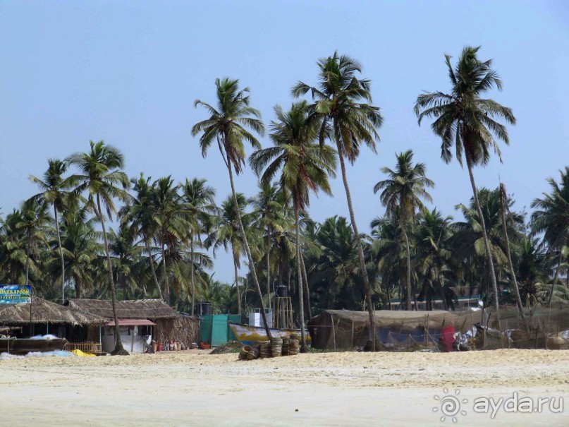 фото Colva Kinara