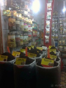 фото Colva Kinara