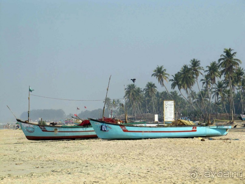 фото Colva Kinara