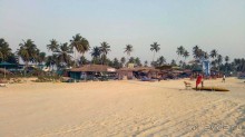 фото Colva Kinara
