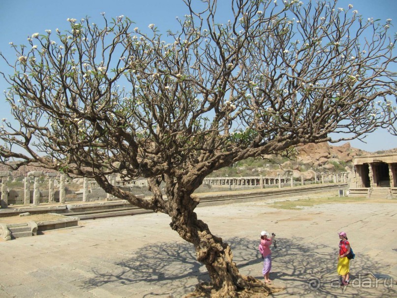 Поездка в Хампи