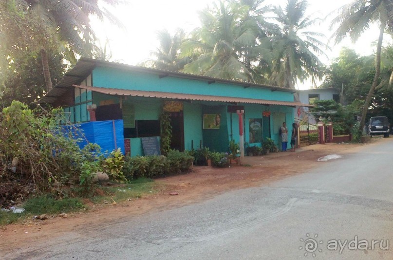 Зелёное кафе