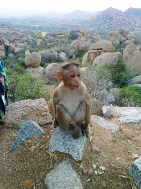 Поездка в Хампи