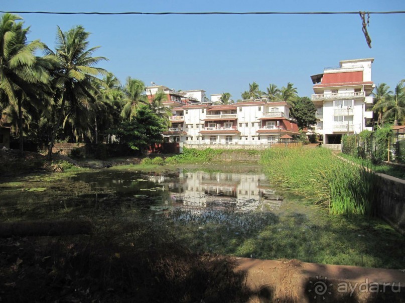 Отель Colva Kinara 3*