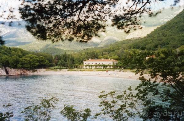 фото Милочер