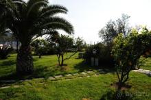 фото Terme Providence