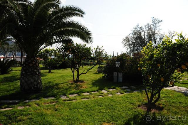 Гостеприимный отель