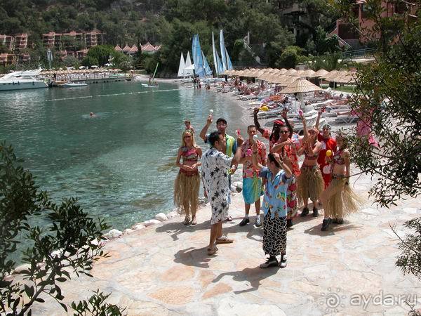 Анимационная команда Анимационная команда