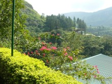 Волшебная Шри-Ланка