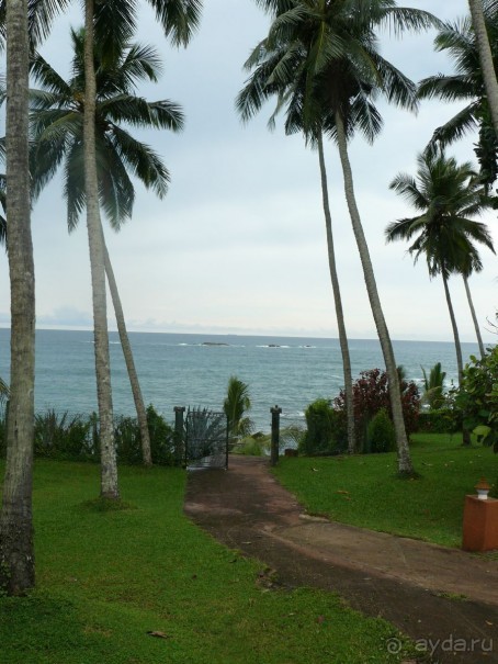 Волшебная Шри-Ланка