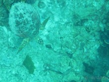 снова в Као Лаке