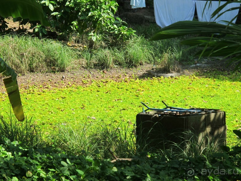 снова в Као Лаке