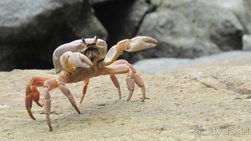 снова в Као Лаке