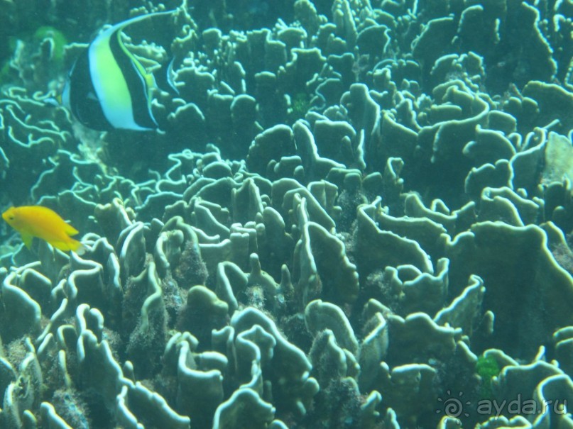 снова в Као Лаке