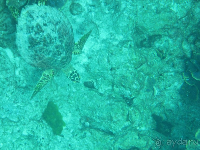 снова в Као Лаке