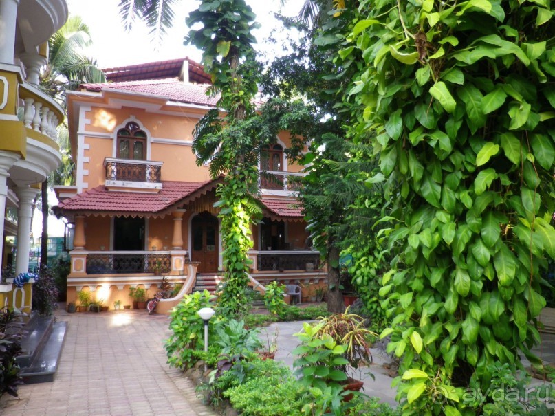 фото Sao Domingos hotel Goa