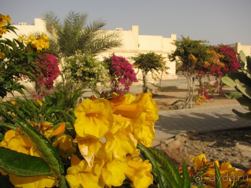 фото Coral Beach Hurghada Hotel