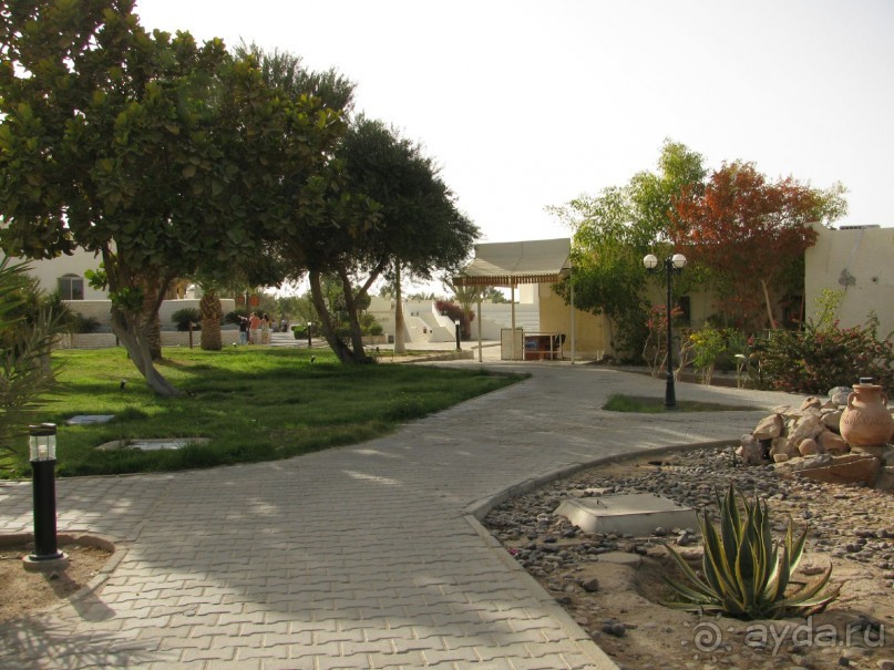 фото Coral Beach Hurghada Hotel