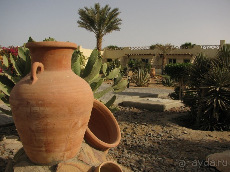 фото Coral Beach Hurghada Hotel