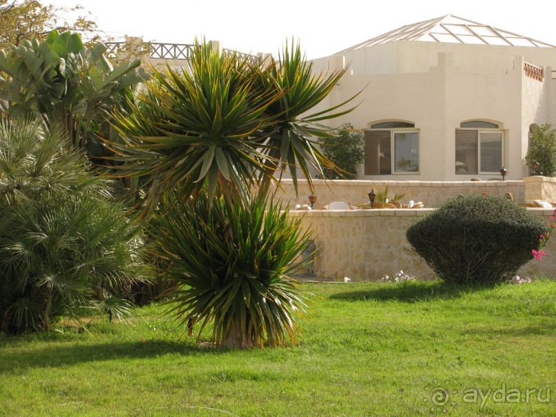 фото Coral Beach Hurghada Hotel