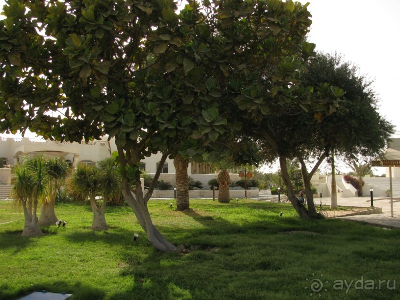 фото Coral Beach Hurghada Hotel