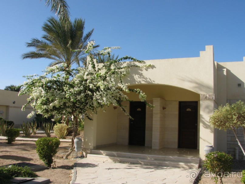 фото Coral Beach Hurghada Hotel