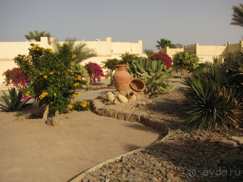 фото Coral Beach Hurghada Hotel