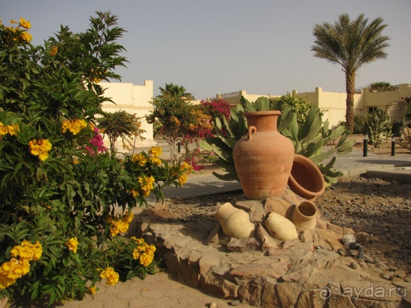 фото Coral Beach Hurghada Hotel