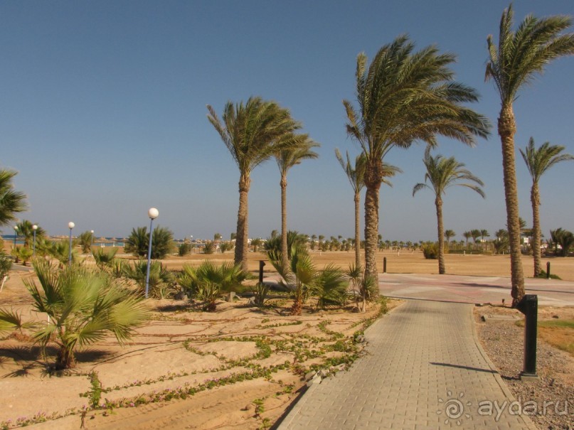 фото Coral Beach Hurghada Hotel