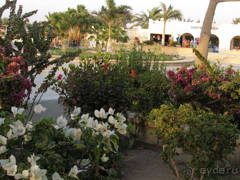 фото Coral Beach Hurghada Hotel