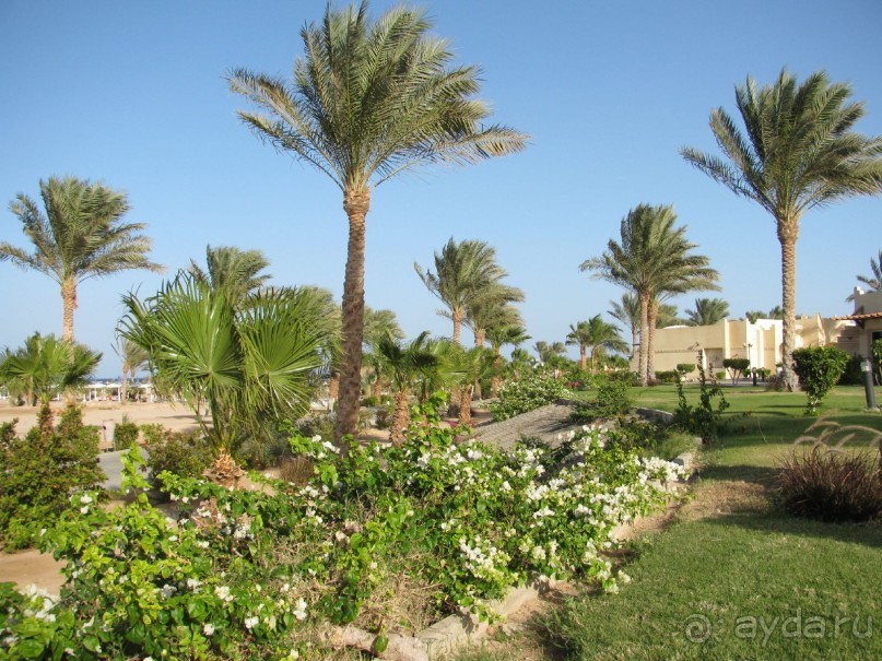 фото Coral Beach Hurghada Hotel