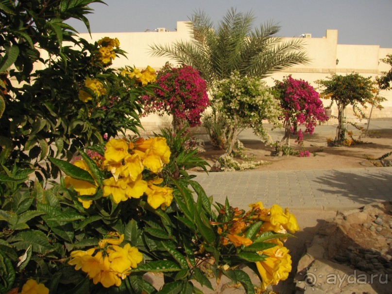 фото Coral Beach Hurghada Hotel