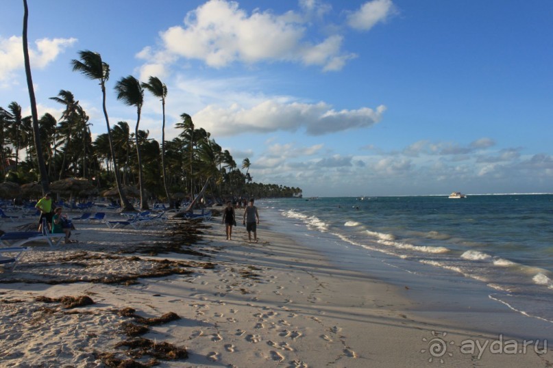 фото Be Live Collection Punta Cana