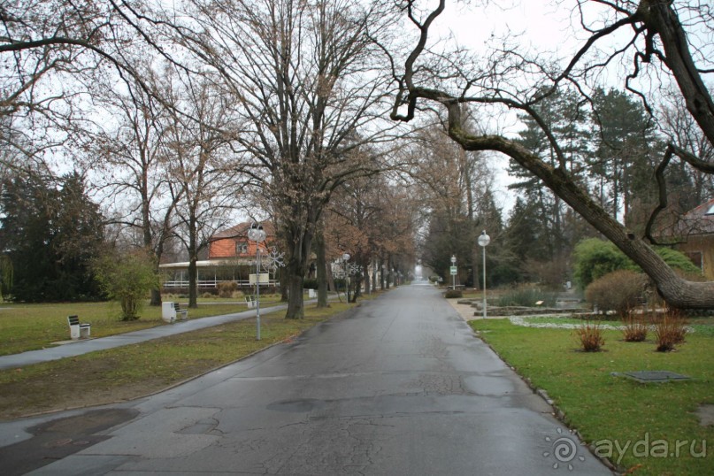 Устали лечиться!