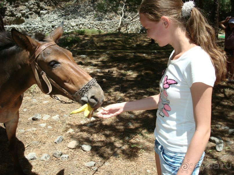 Немного полезных советов и цены на экскурсии
