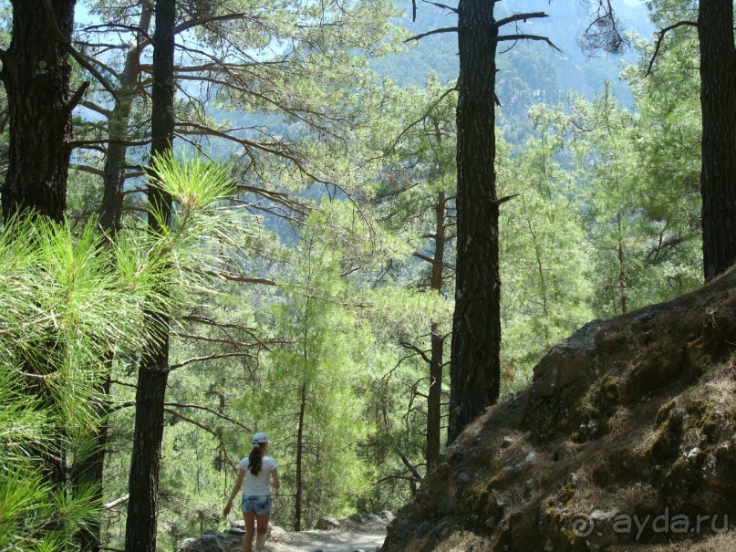 Немного полезных советов и цены на экскурсии