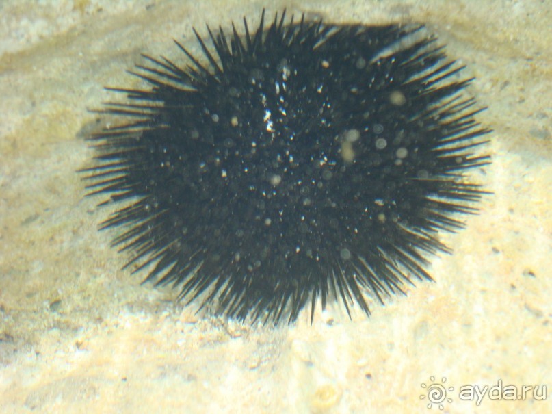 Немного полезных советов и цены на экскурсии