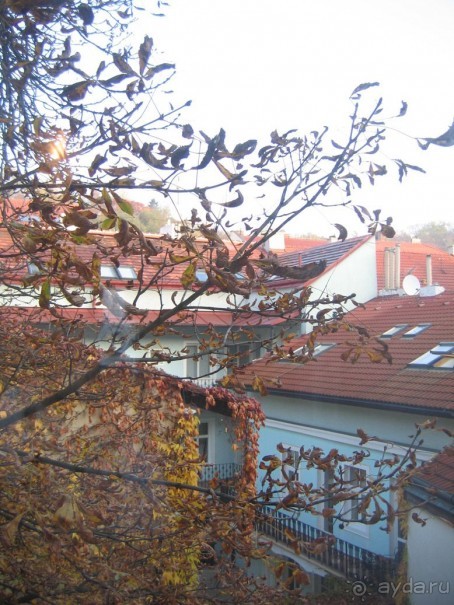 Уютный отель в недорогом районе Праги.