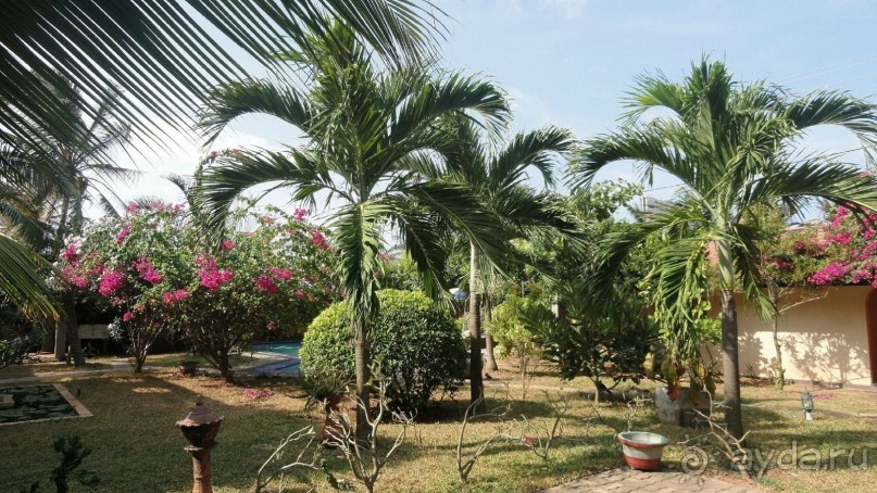 Территория виллы 