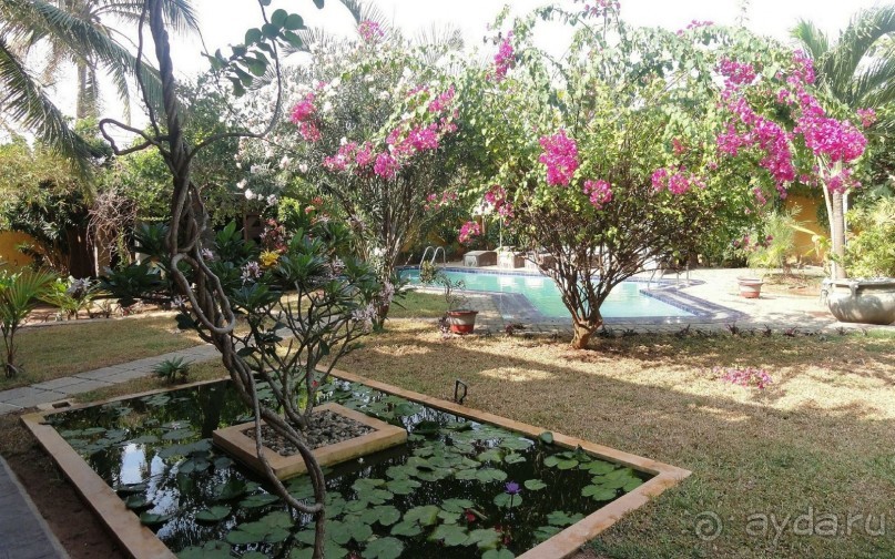 Территория виллы