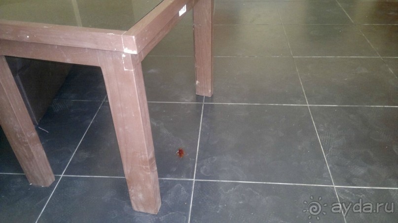 ипортить отпуск с анексом