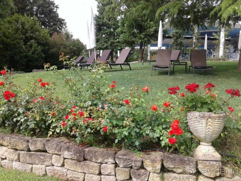 фото Alexandros (Airotel)