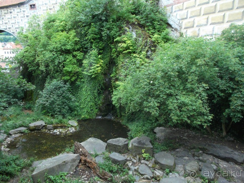 отель OLIMPIK 4