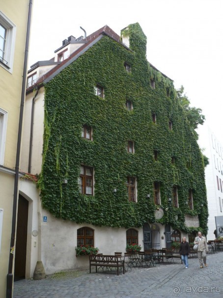 Между прочим, этому плющу 300 лет. Сколько же тогда самому дому?