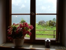 А потом мы пошли пить молоко тюрингских коровушек и пробовать сыр. Все было очень вкусно. Посмотрите, какой вид открывается из окна местной кафешки.