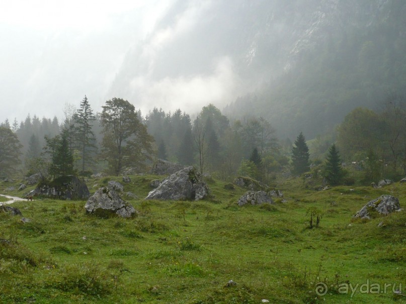 Немецкие и австрийские Альпы. Кёнигзее.