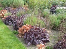 Баден-Баден