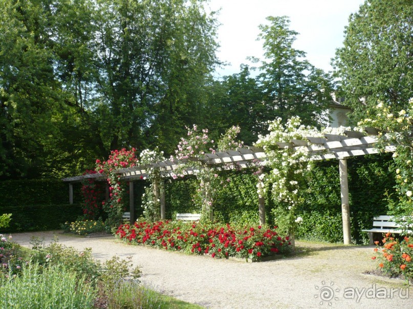 Баден-Баден